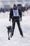 Lenk 2013